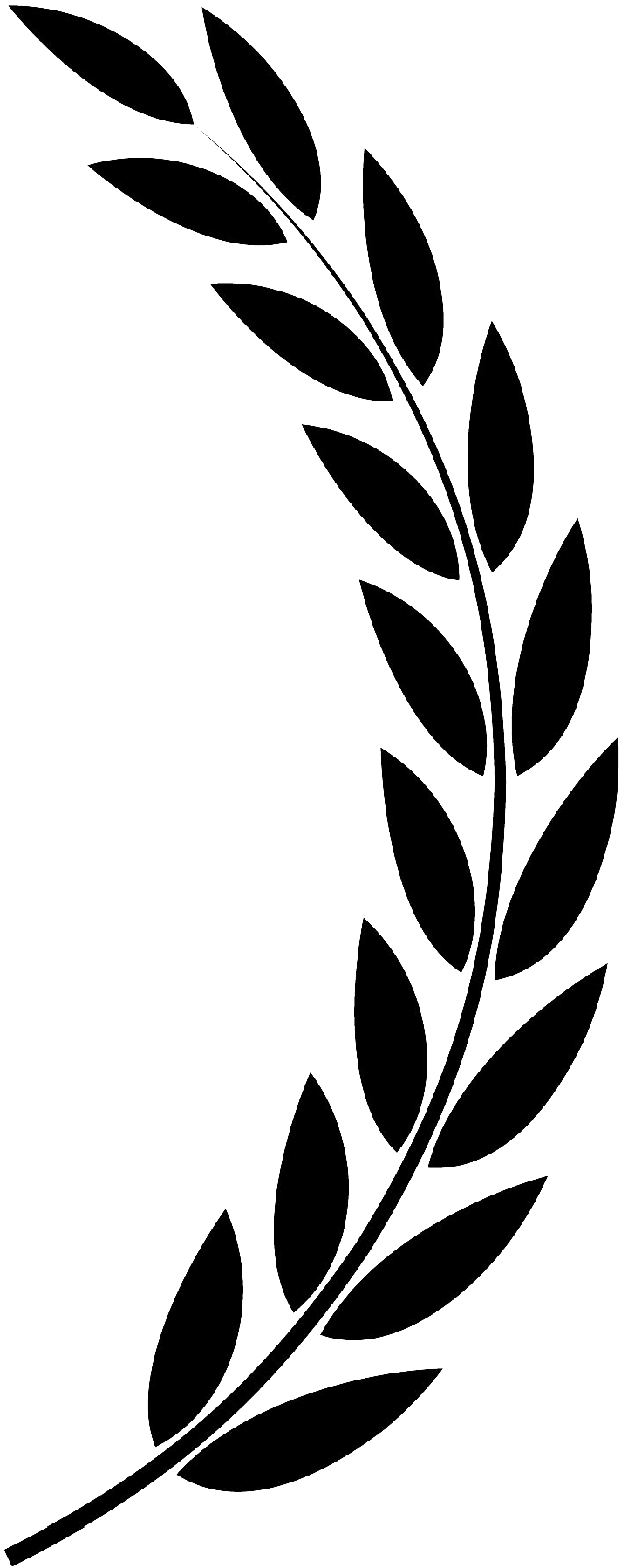 Laurel leaves right