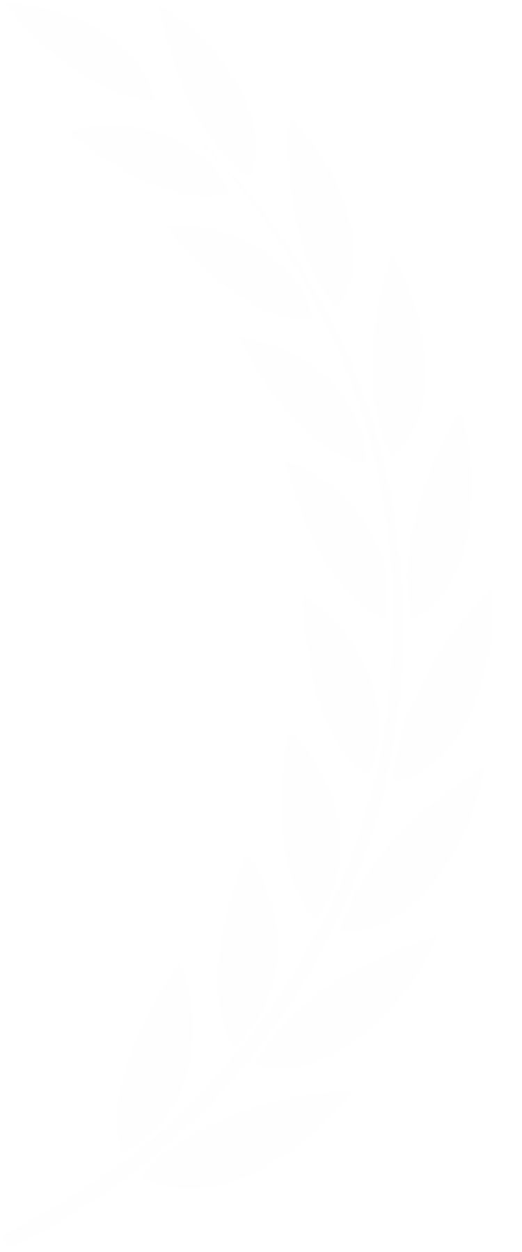 Laurel leaves right